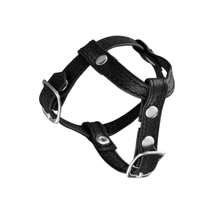 leren-penisriem-met-testikelverdeler-Zwart-1