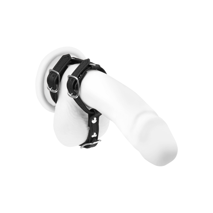 penis--en-hodengurt-van-leer-Zwart-1