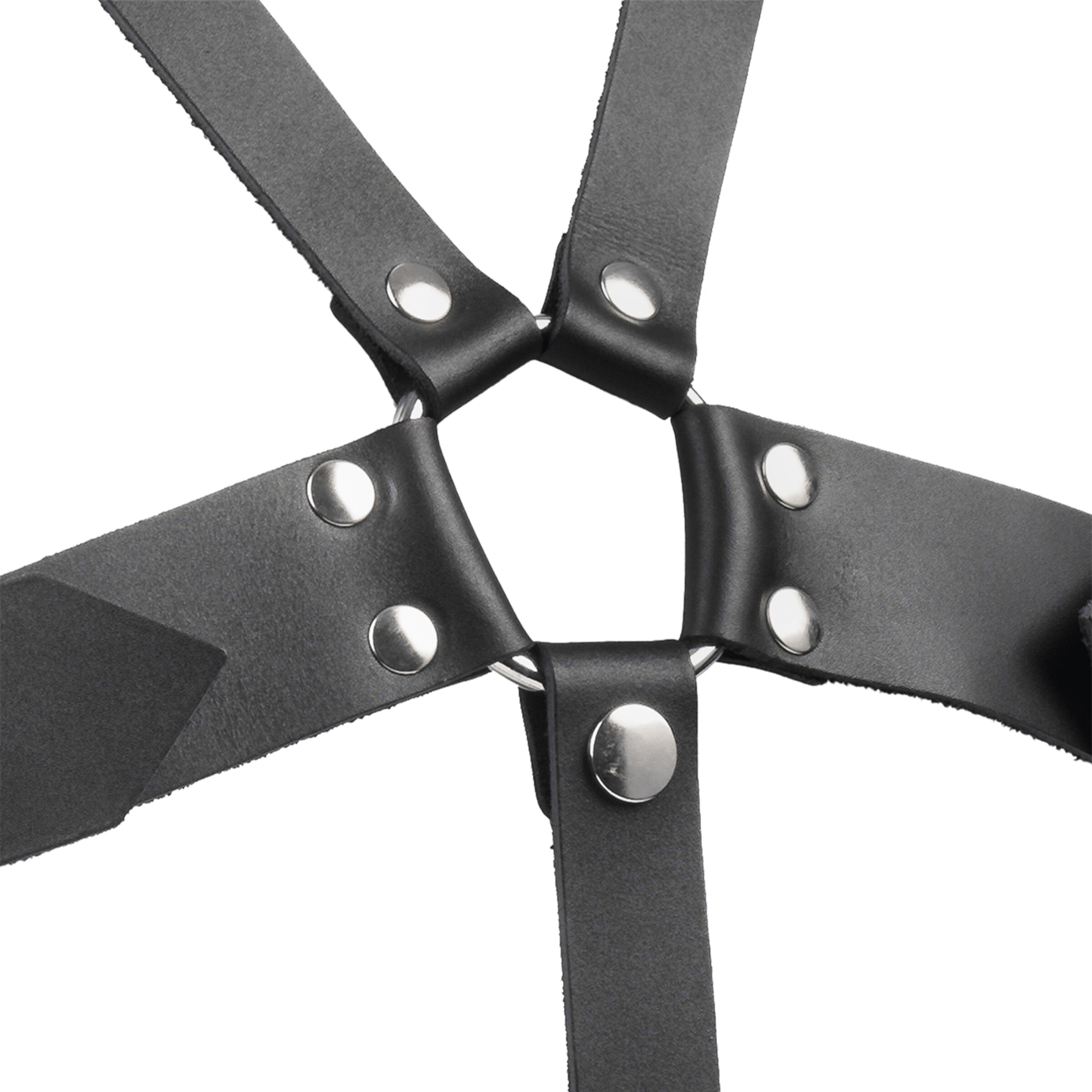 harnais-en-cuir-avec-boucles-Argent-Noir-5