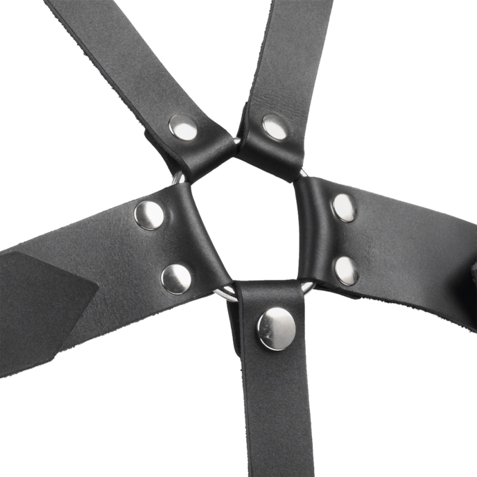 harnais-en-cuir-avec-boucles-Argent-Noir-5