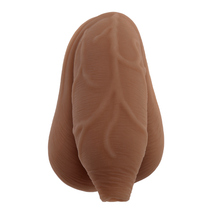 the-uncircumcised-packer-11-6-cm-Naturel foncé-3