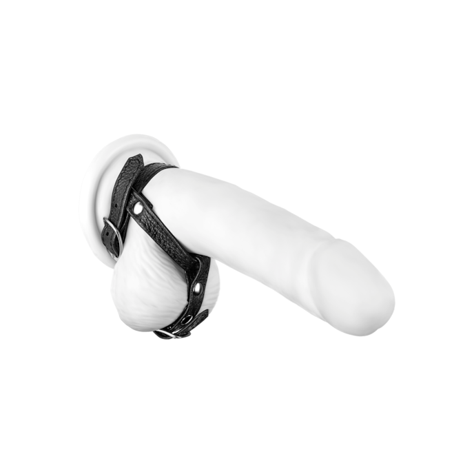 leren-penisriem-met-testikelverdeler-Zwart-2