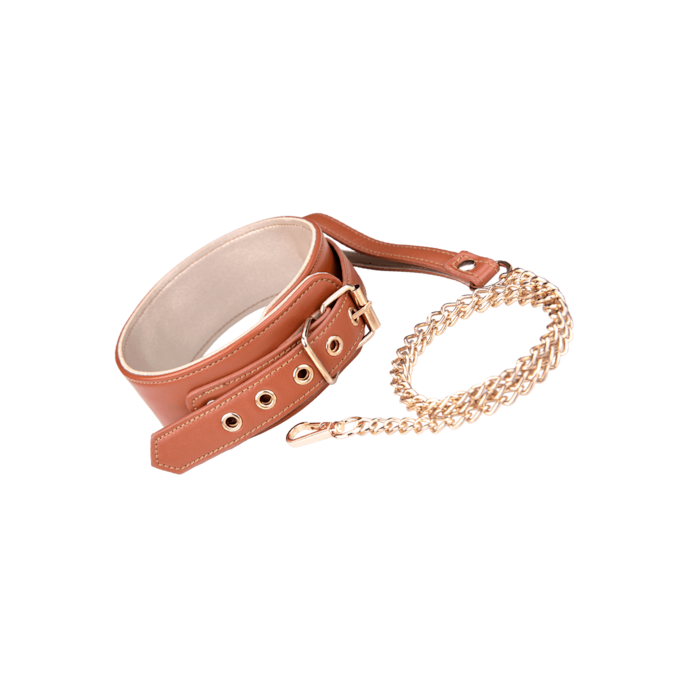 blaze---collar-and-leash-Bruin-Goud-1