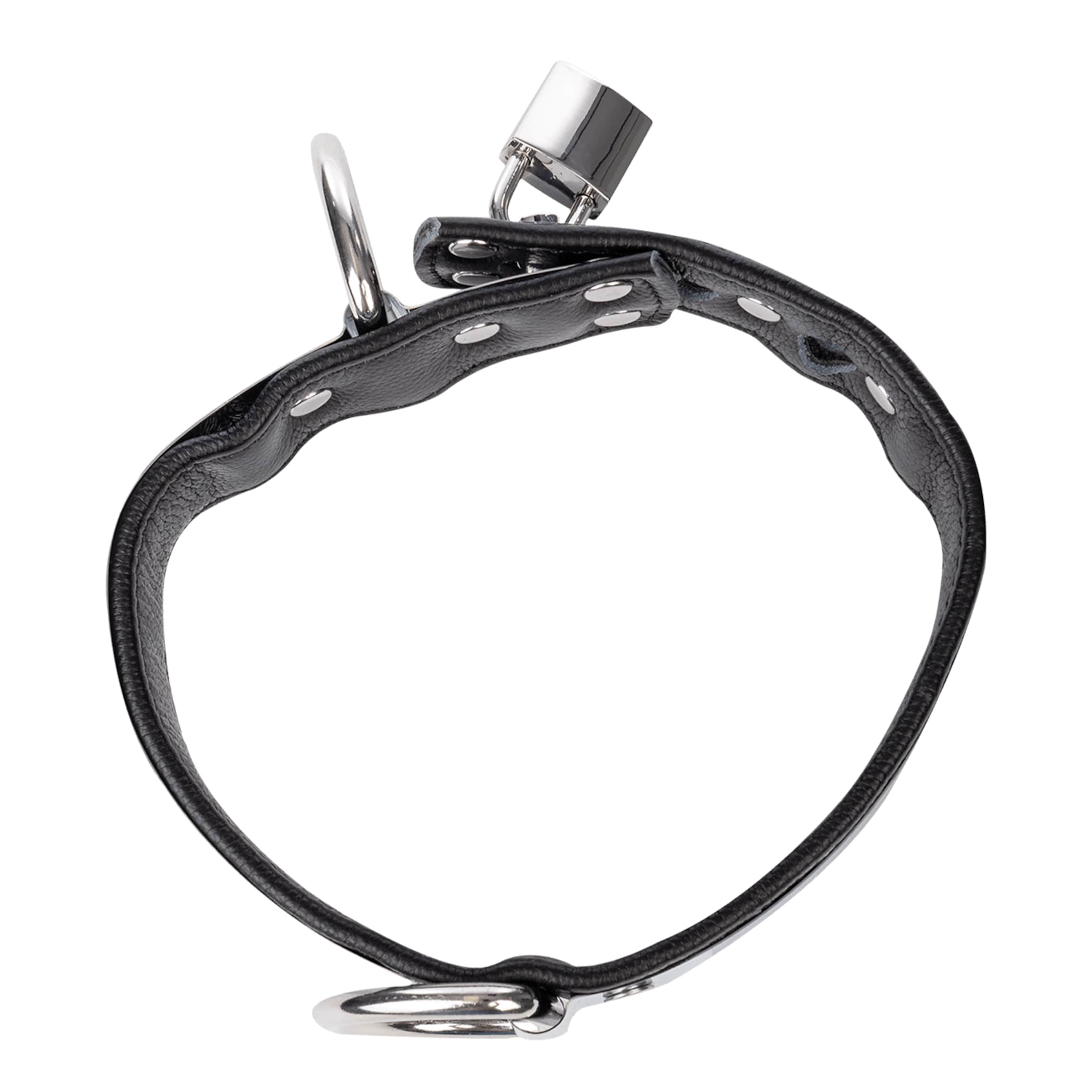 lederen-halsband-met-metaal-en-slot-Zilver-Zwart-2