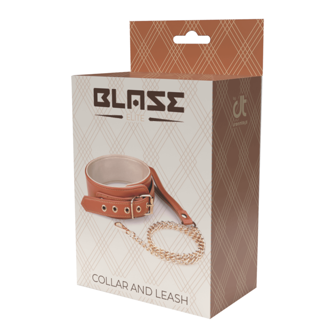 blaze---collar-and-leash-Bruin-Goud-2