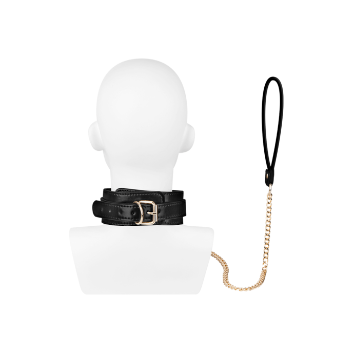 halsband-inclusief-riem-Goud-Zwart-2