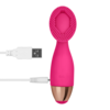silikonvibrator-wiederaufladb.-13-cm-Pink-9