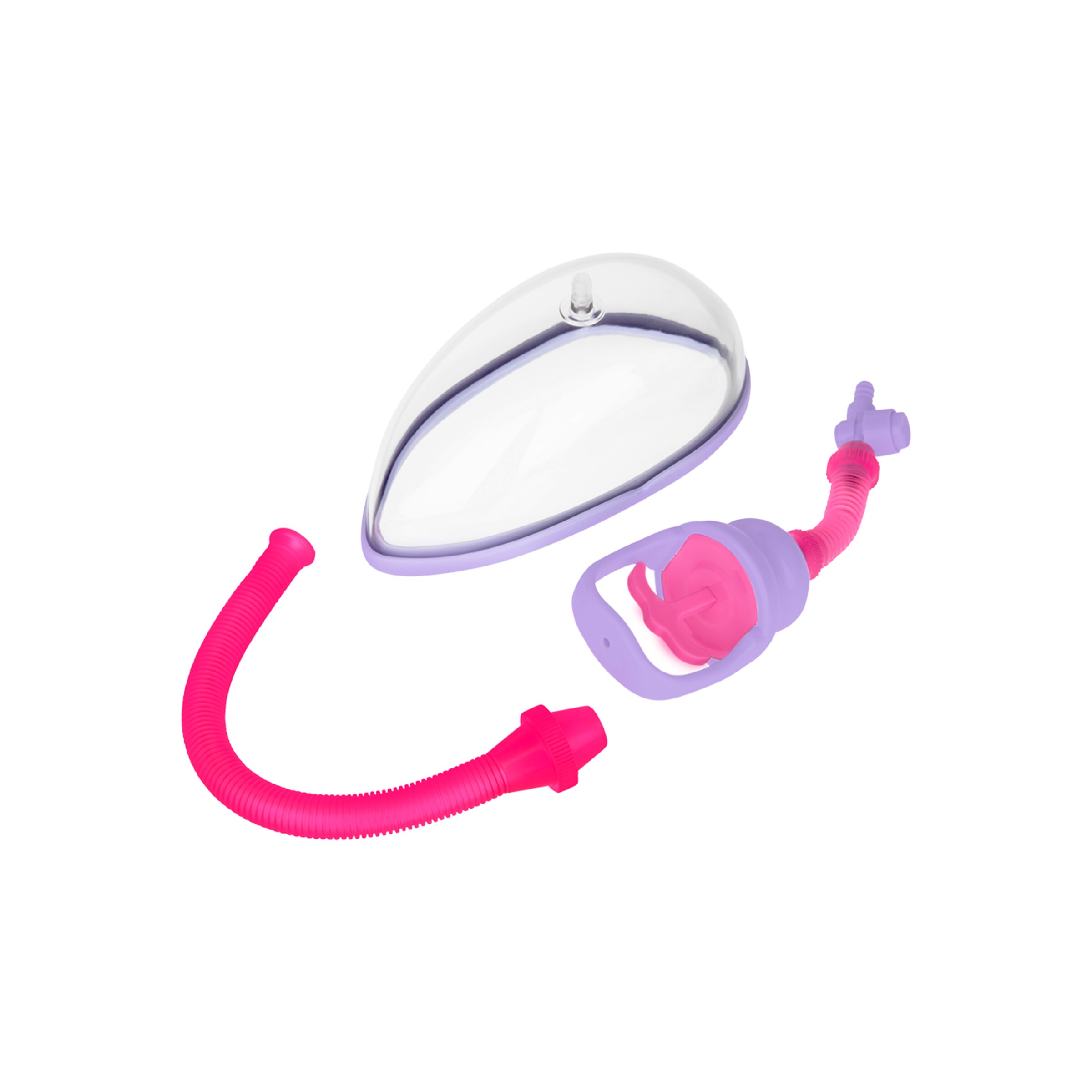 vagina-cup-Rose-Transparent-Violet-4