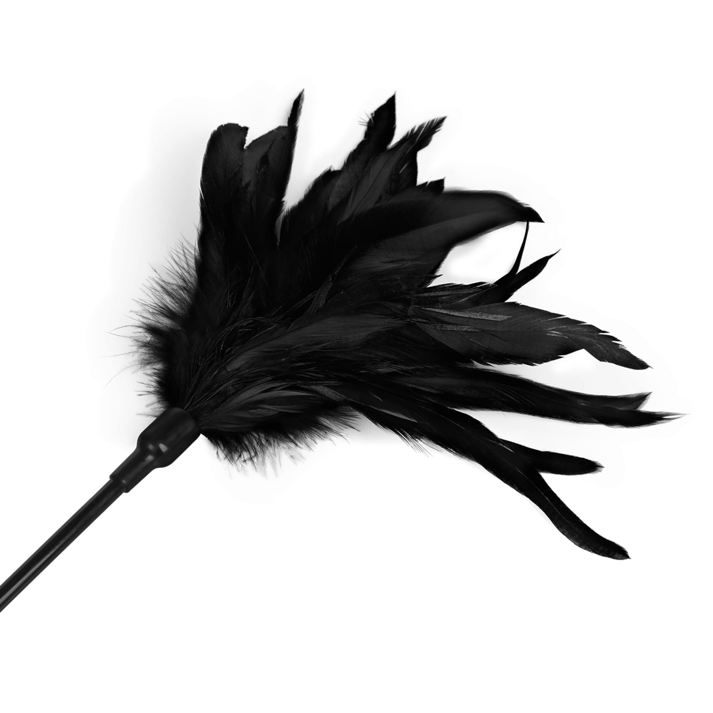feather-crop-Noir-3