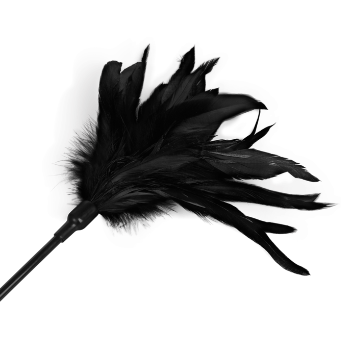 feather-crop-Schwarz-3