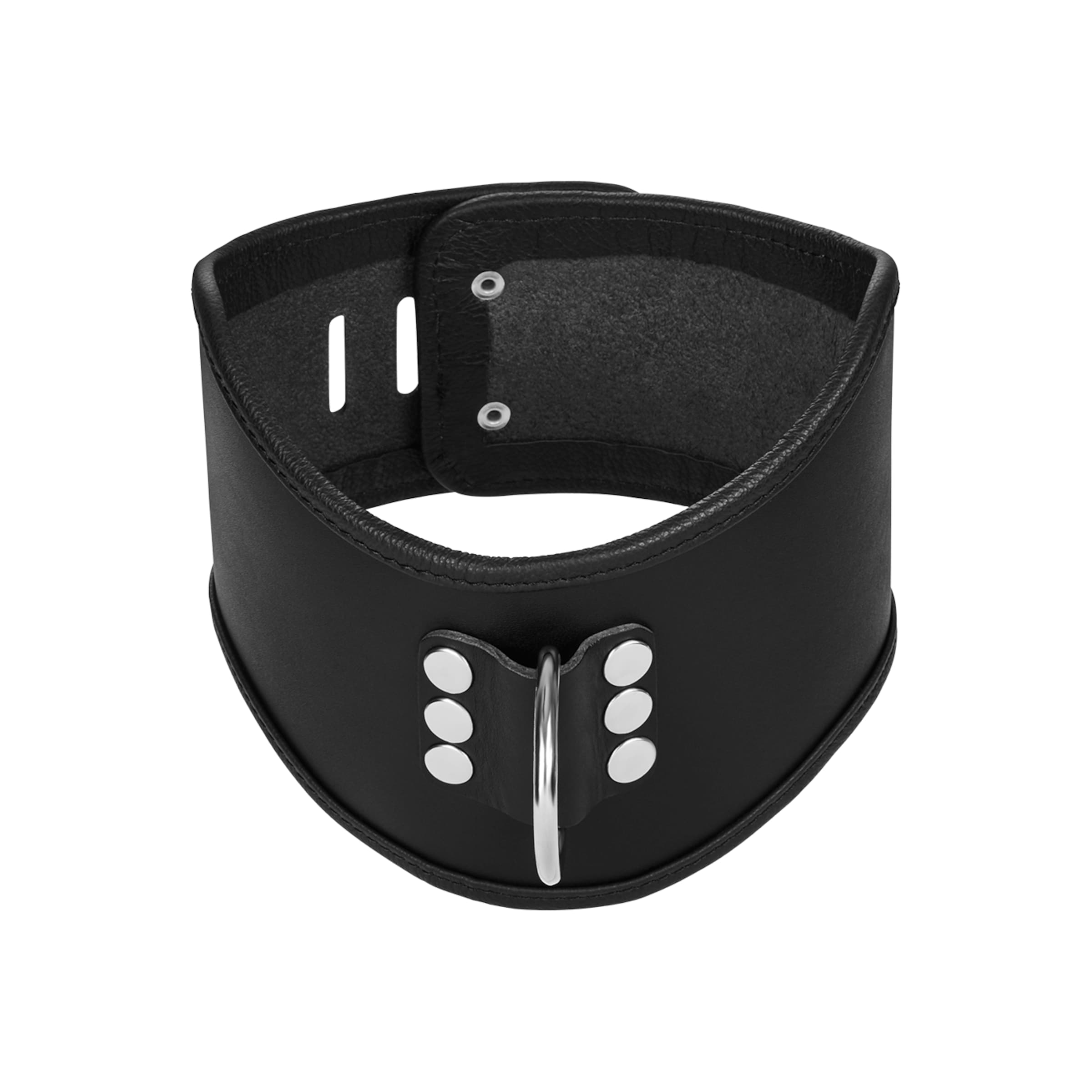 gepolstertes-halsband-mit-d[nbhy]ring-Schwarz-6