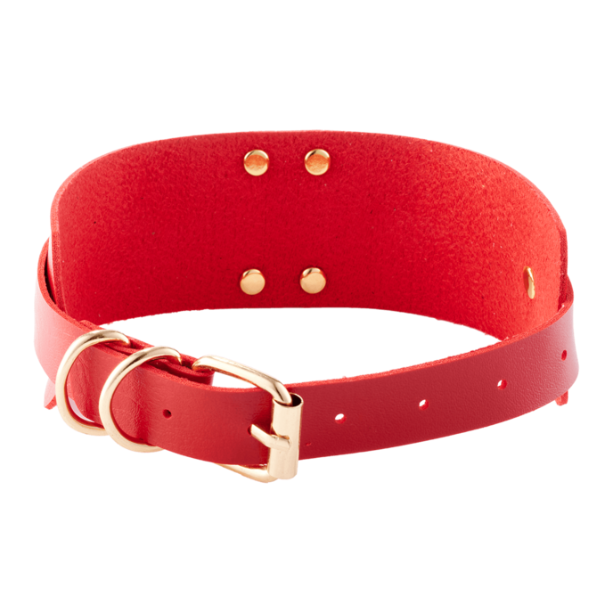 o-ring-collar-Gold-Rot-2