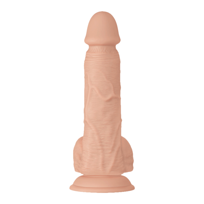 bahamut-21-8-cm-Naturel clair-4