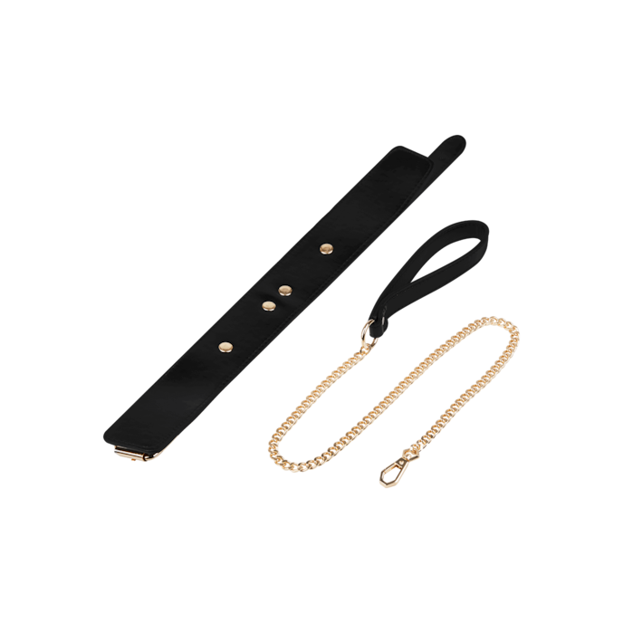 halsband-inclusief-riem-Goud-Zwart-3