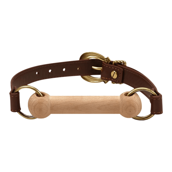 hoofdmasker-met-houten-knevel-Braun-Goud-Schwarz-2