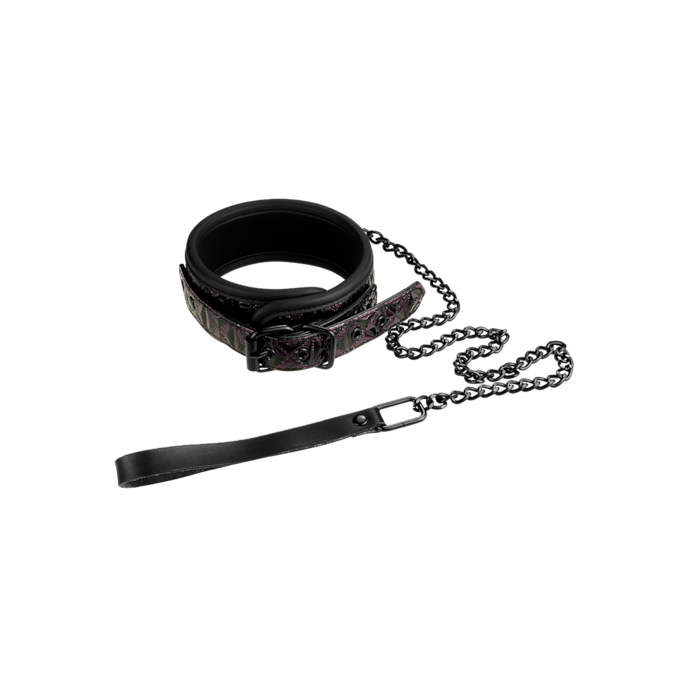 collar-and-leash-Noir-Violet-1