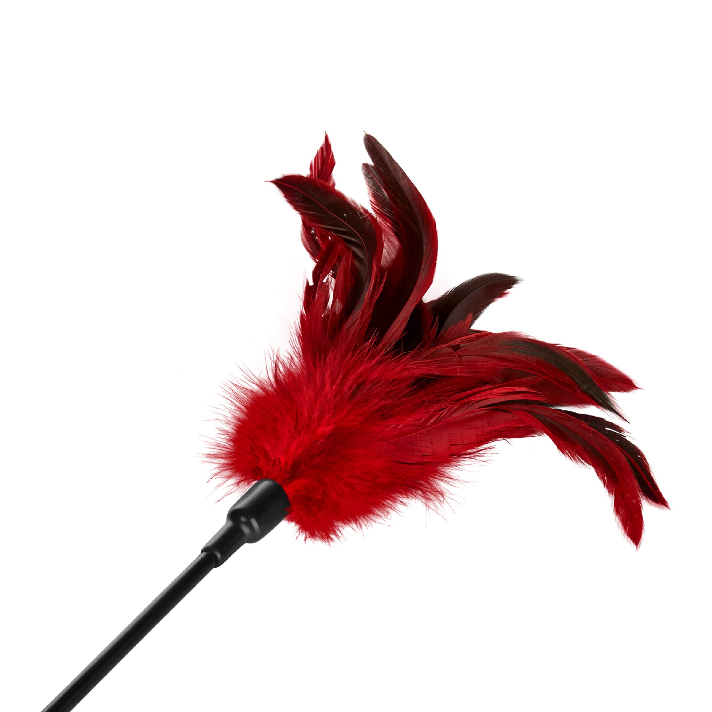 feather-crop-Bordeaux-Zwart-2