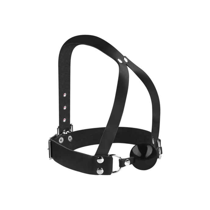 gag-met-harnas-Schwarz-1