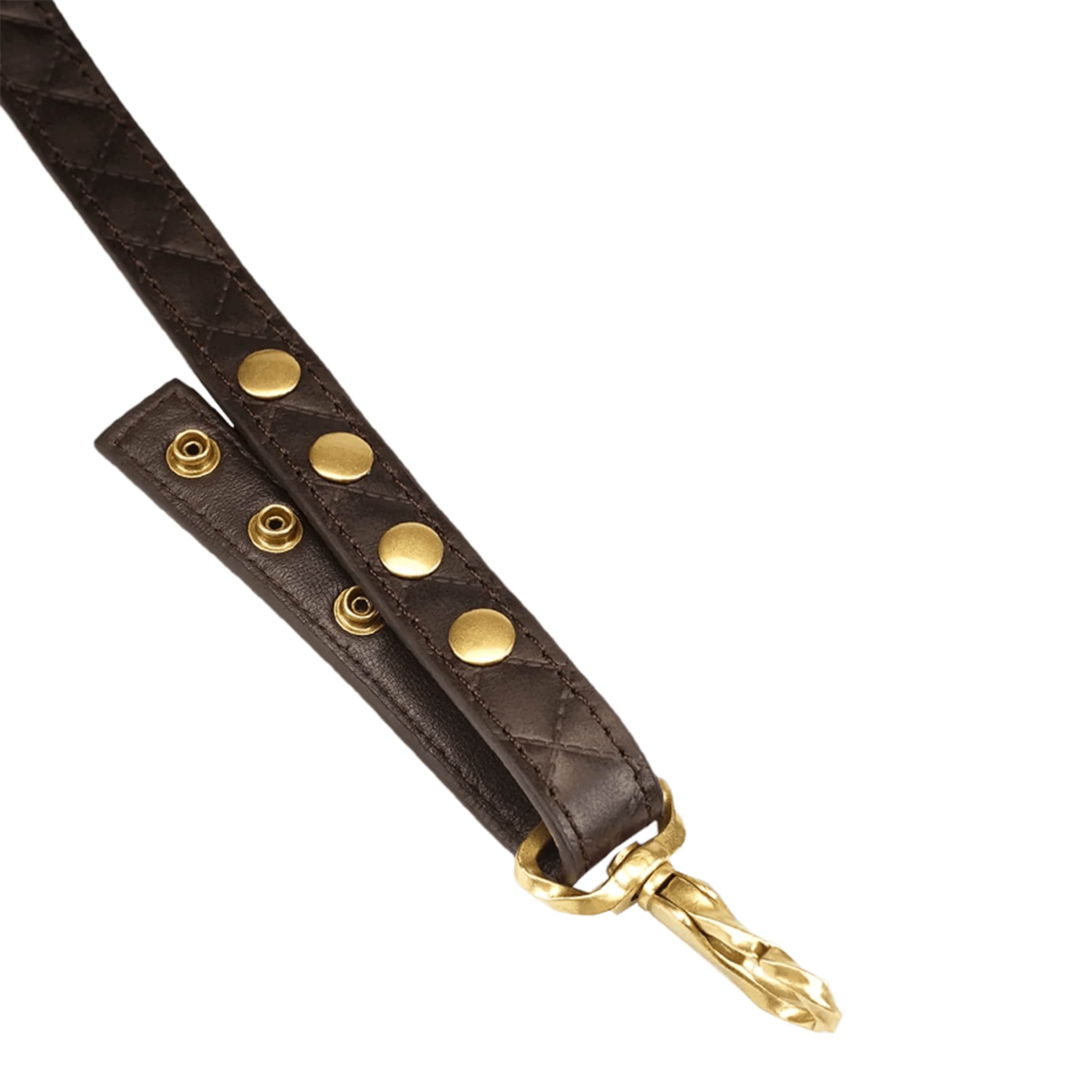 tailleband-van-rijleer-Bruin-Goud-Zwart-5