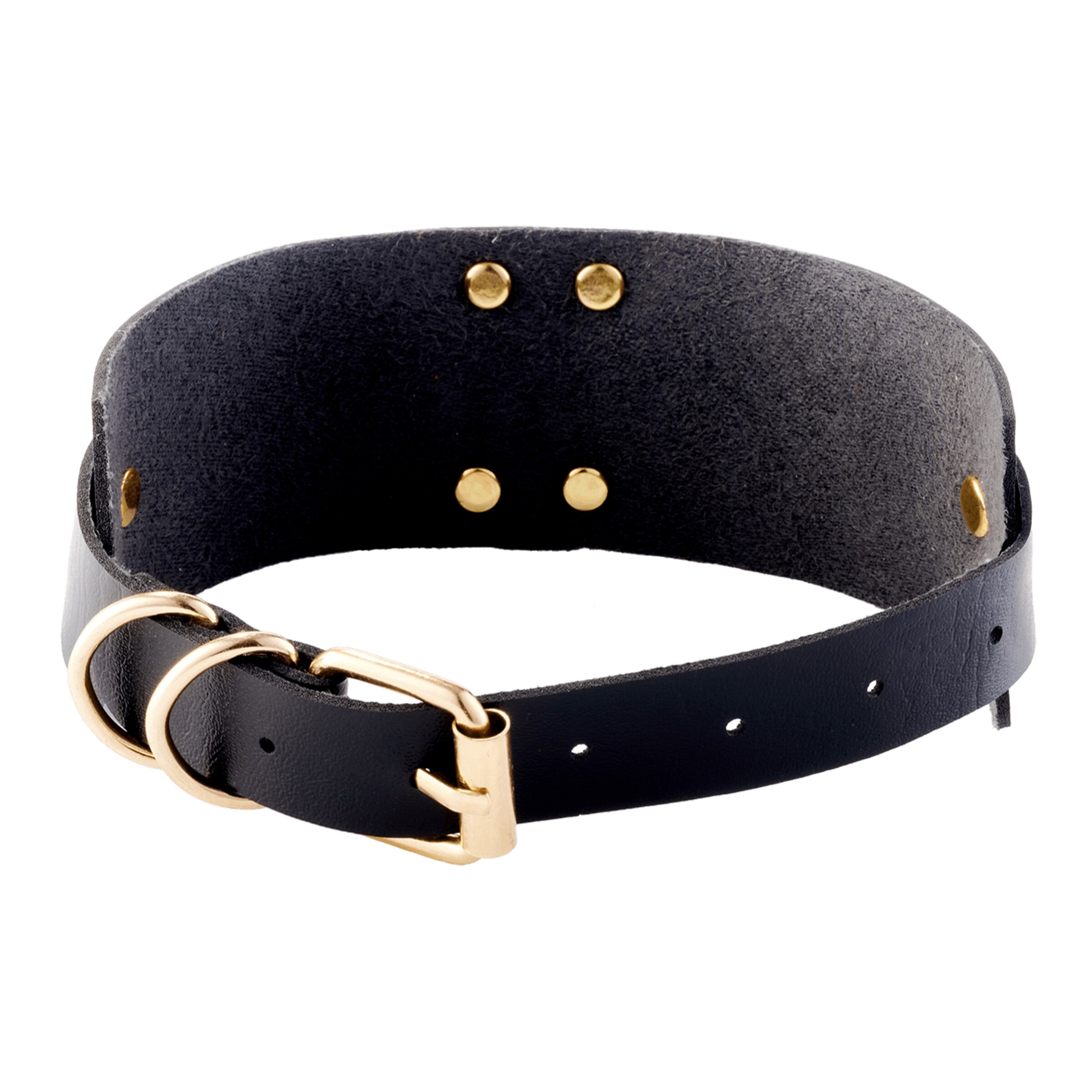 o-ring-collar-Gold-Schwarz-2