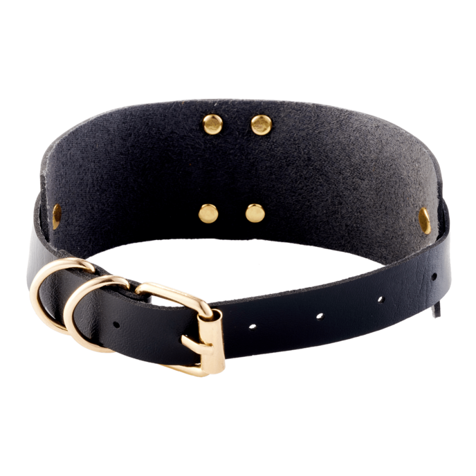 o-ring-collar-Gold-Schwarz-2