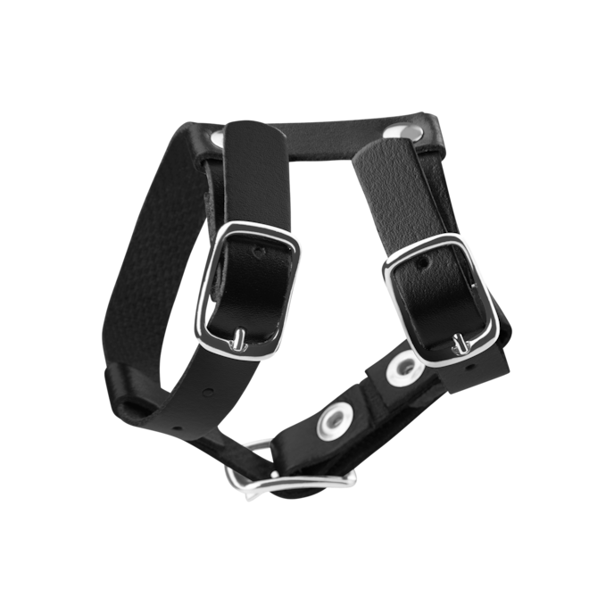 ceinture-pour-pénis-et-testicules-en-cuir-lisse-Noir-3