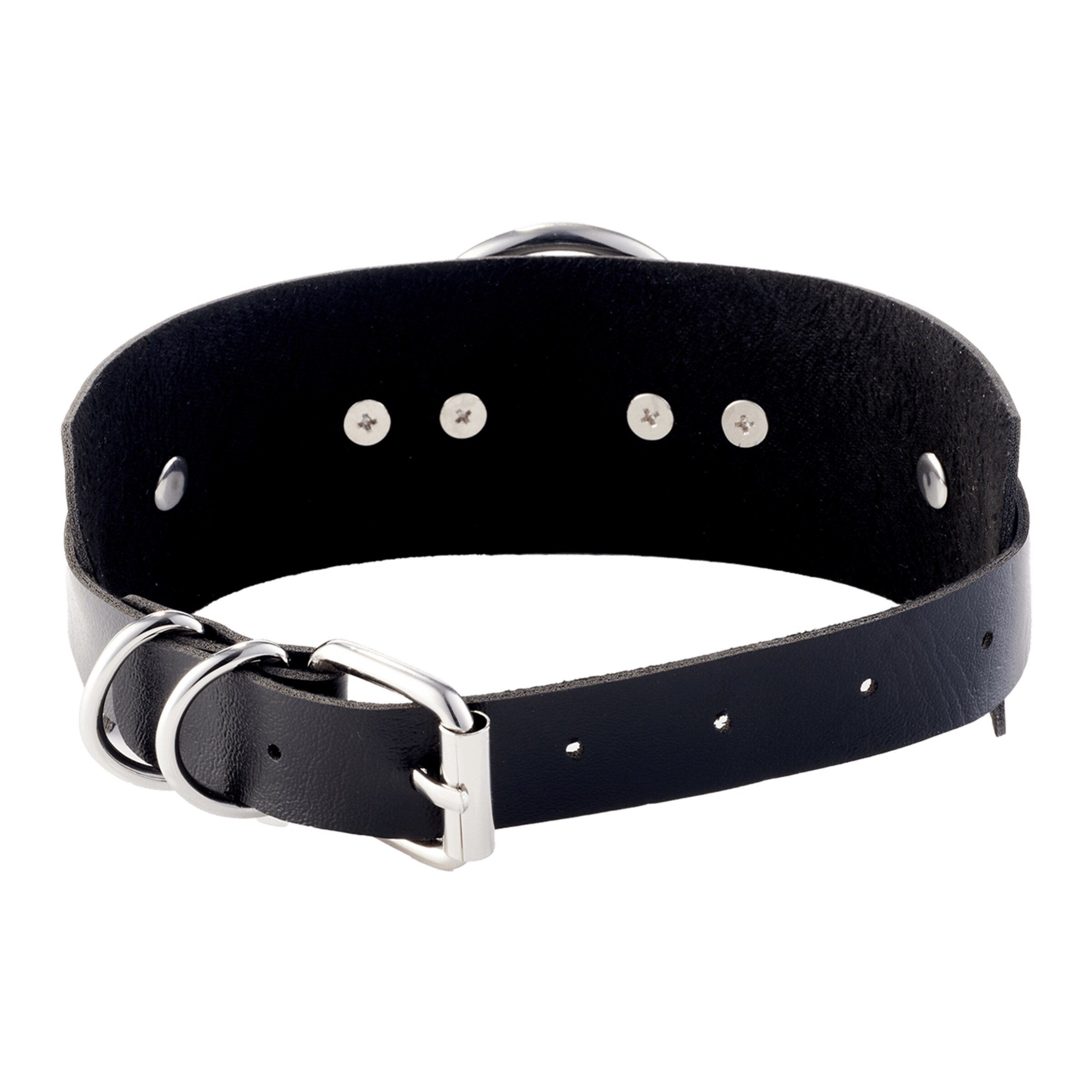 o-ring-front-collar-Schwarz-Silber-2