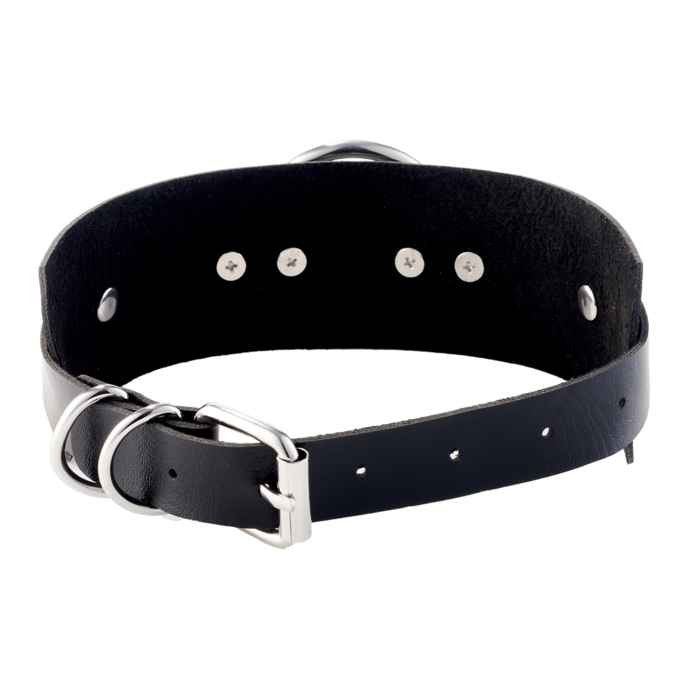 o-ring-front-collar-Schwarz-Silber-2