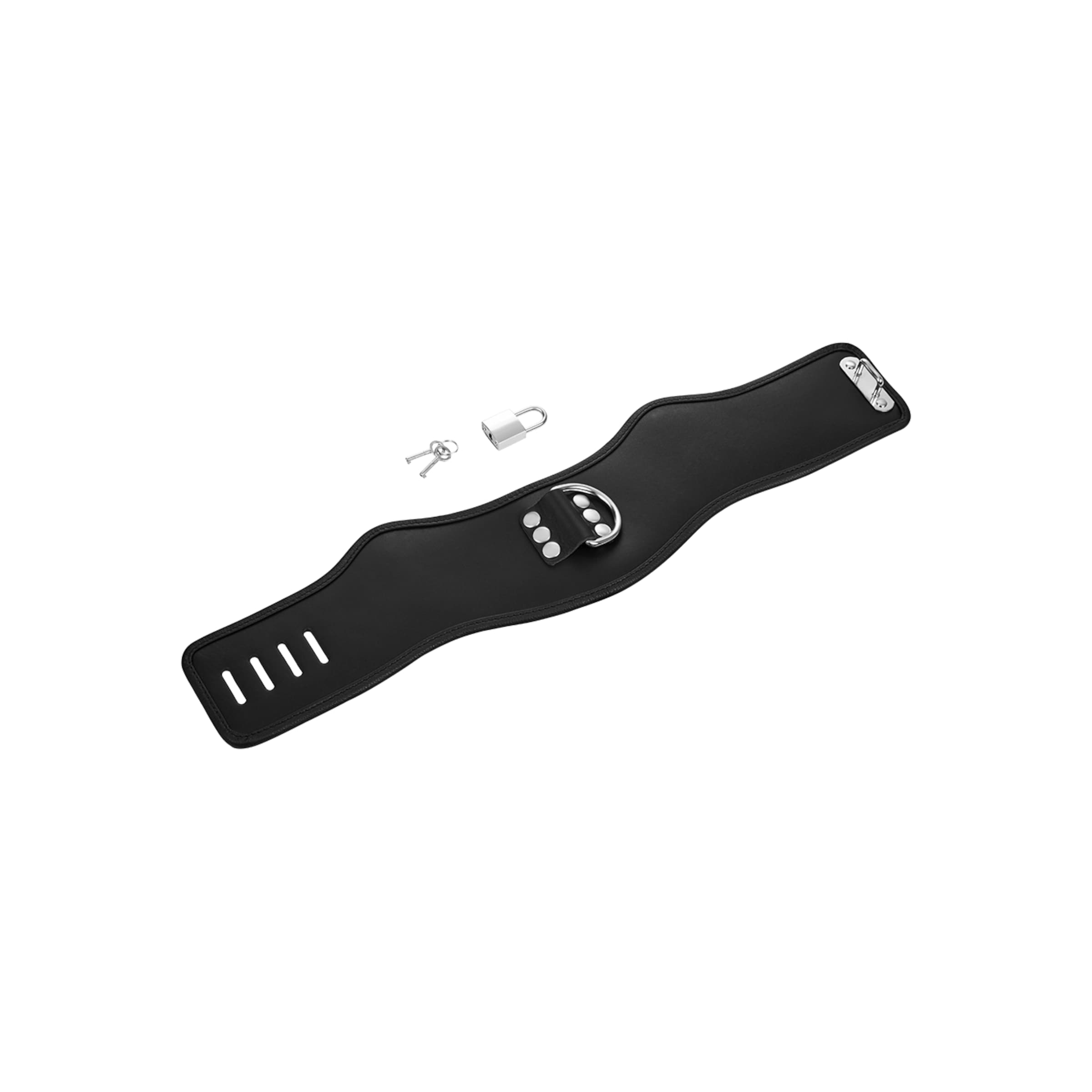 gepolstertes-halsband-mit-d[nbhy]ring-Schwarz-7