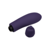 aubergine-minivibrator-12-cm-Lila-9