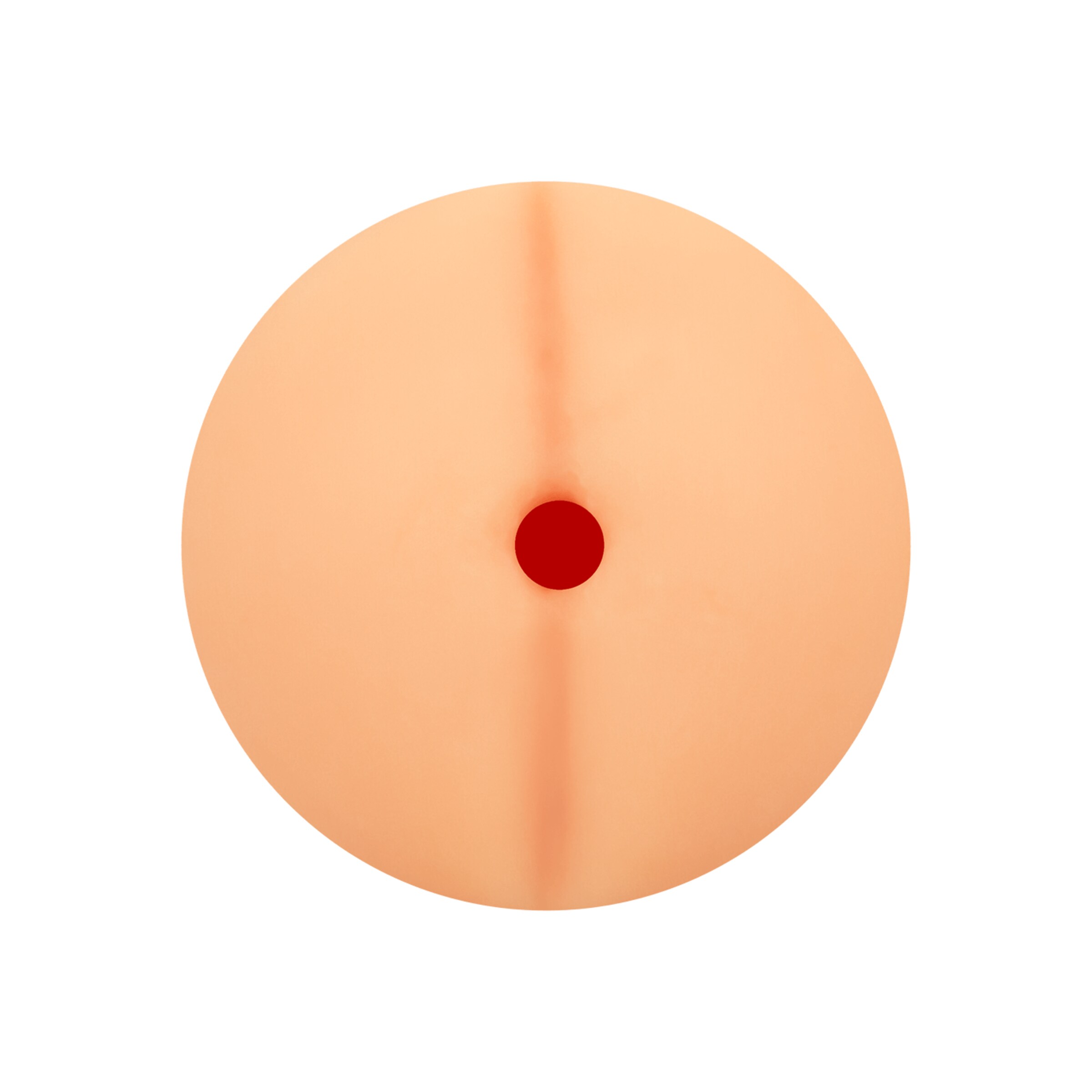 a.i.-anal-sleeve-20-cm-Natuurlijk licht-2