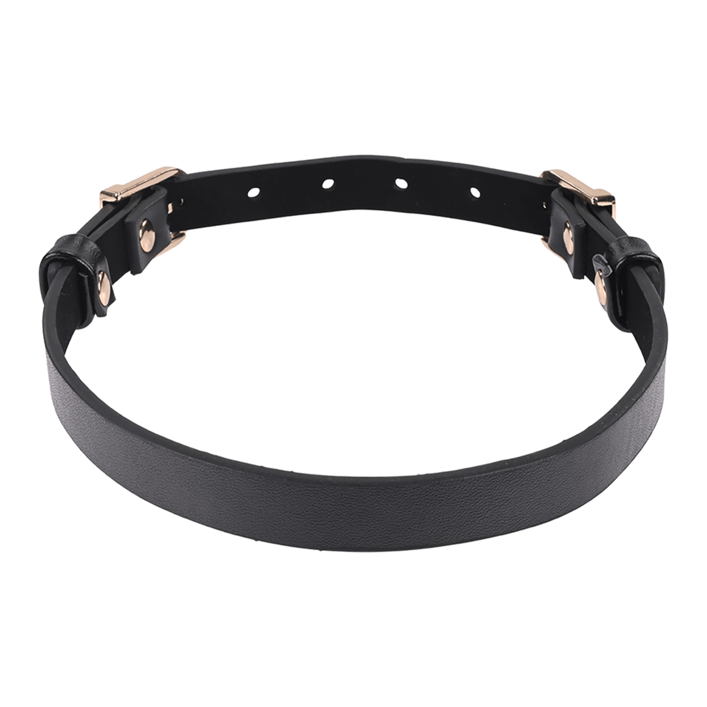 sex-and-mischief---double-buckle-day-collar-Zwart-4