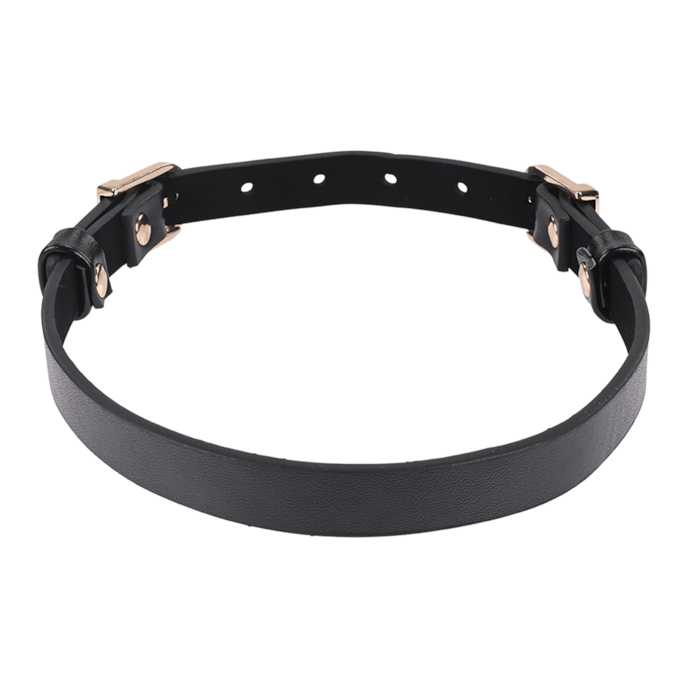 sex-and-mischief---double-buckle-day-collar-Zwart-4