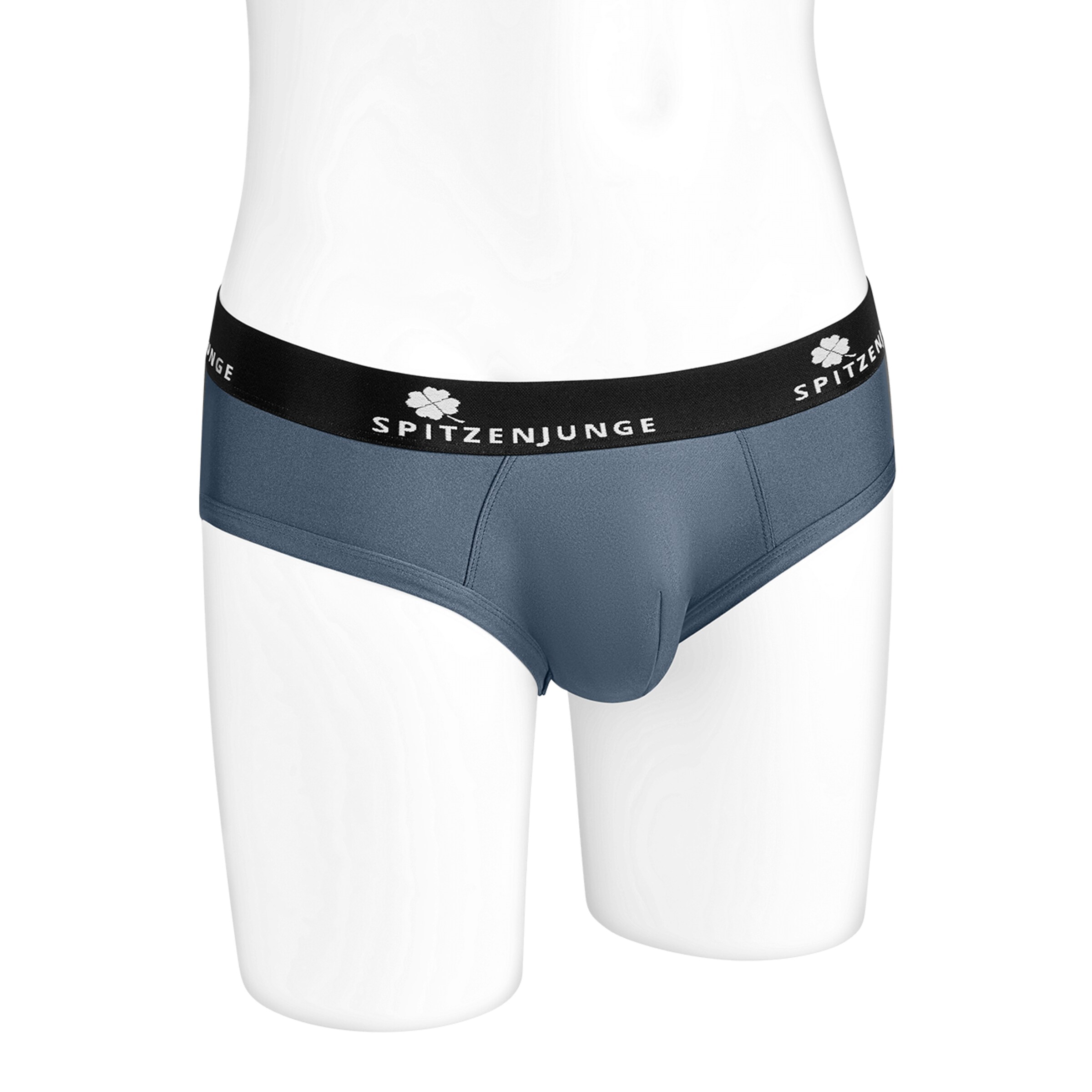 slip-in-glanz-optik-Grau-6