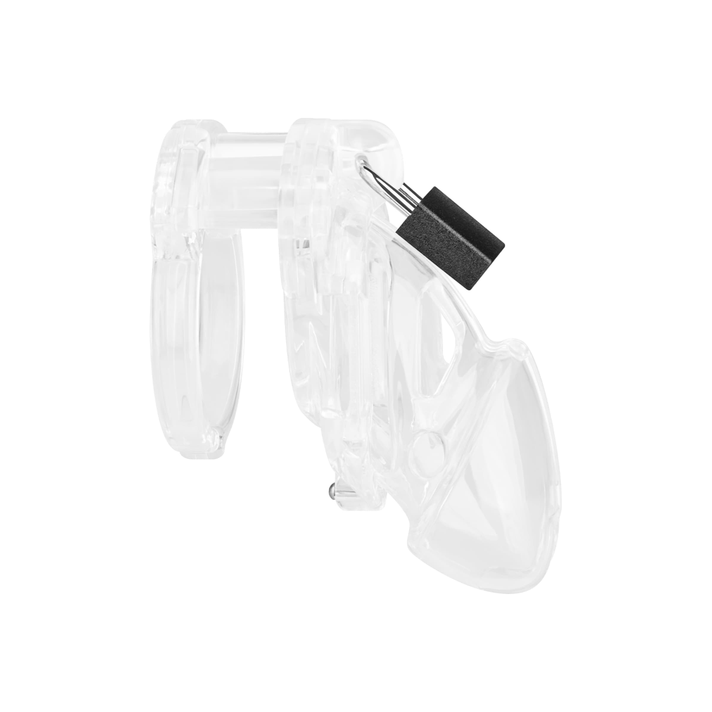 chastity-standard-Transparent-2