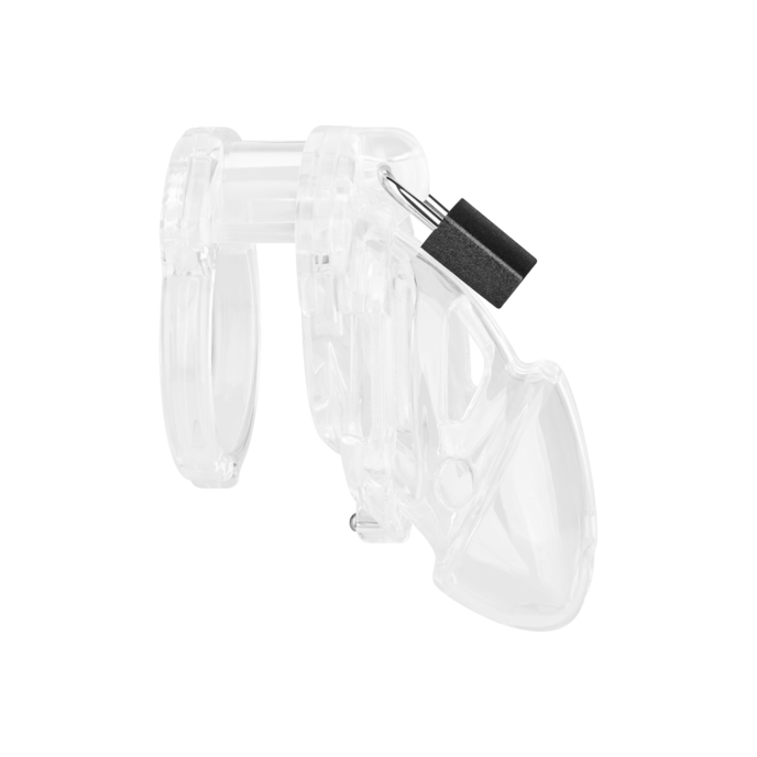 chastity-standard-Transparant-2