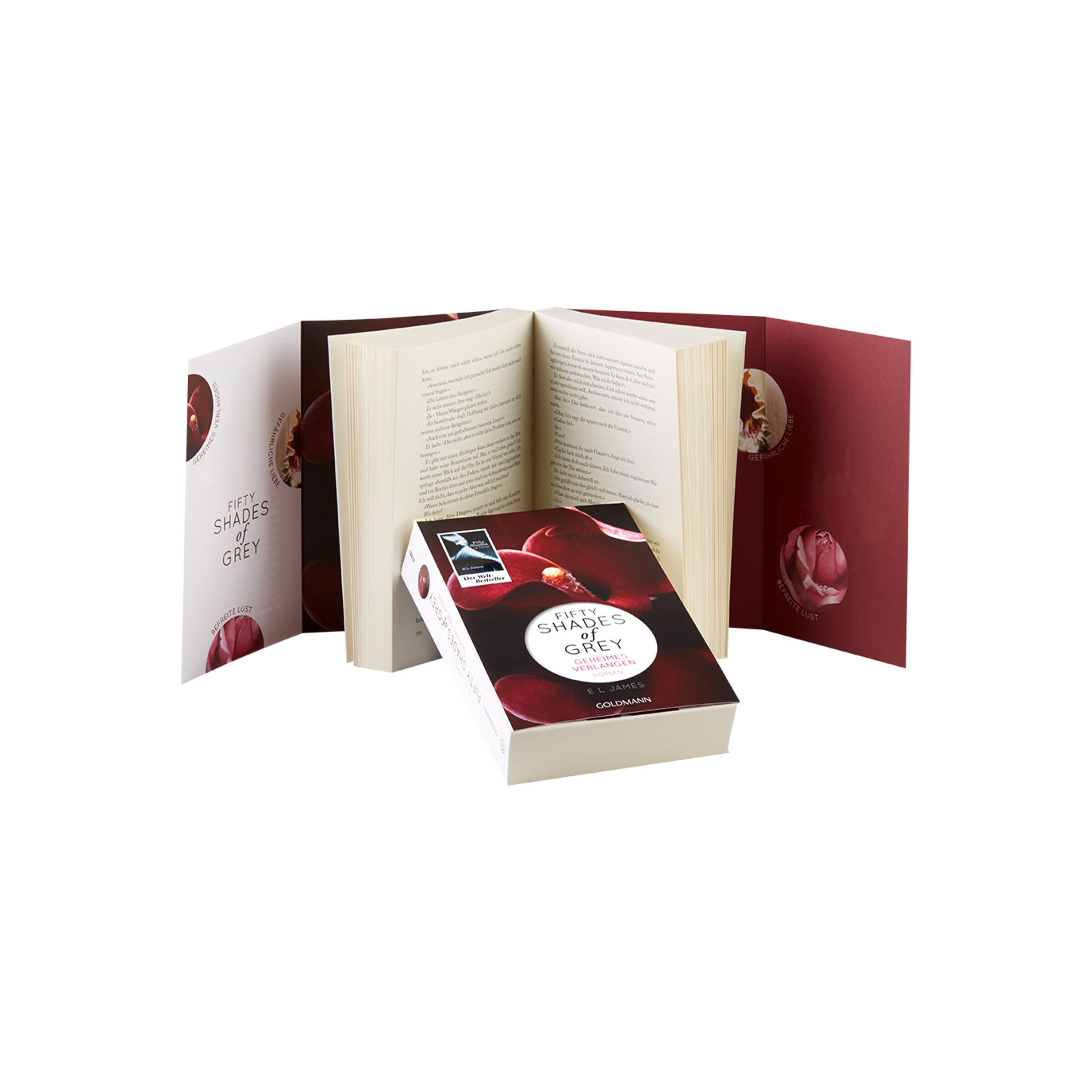 désir-secret-tome-1-Pas de couleur-2