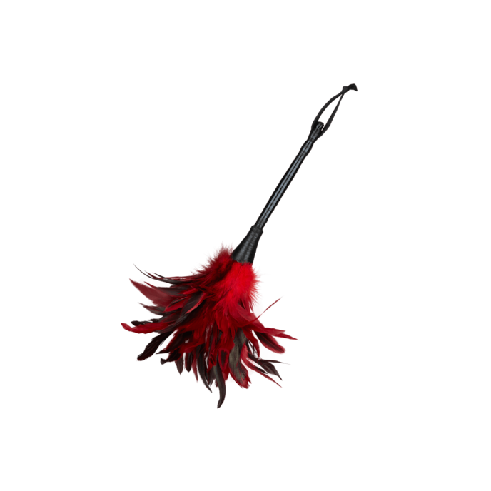 frisky-feather-duster-Schwarz-Zilver-1