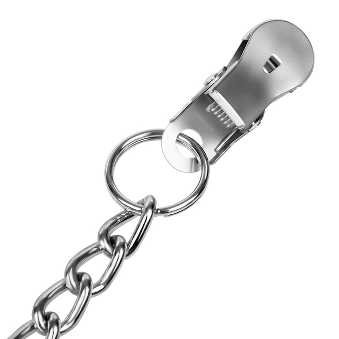 tepelklemmen-met-halsband-Schwarz-Silber-3