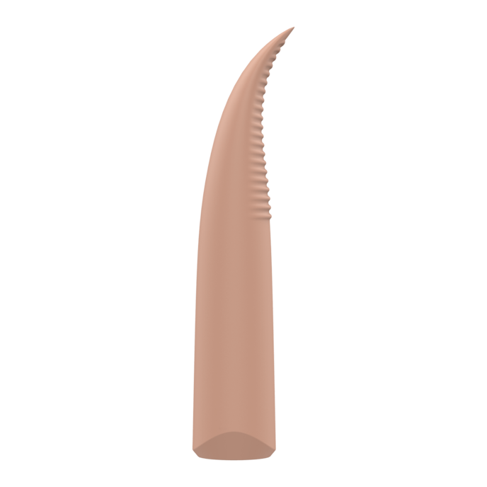 nude---laurel-14-cm-Beige-2