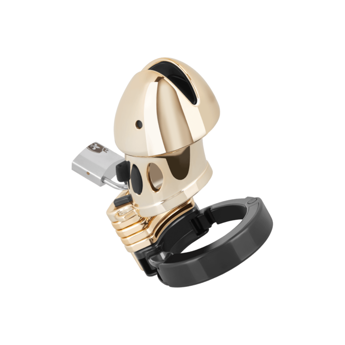 pubic-enemy-no.-1-10-5-cm-Noir-Or-1