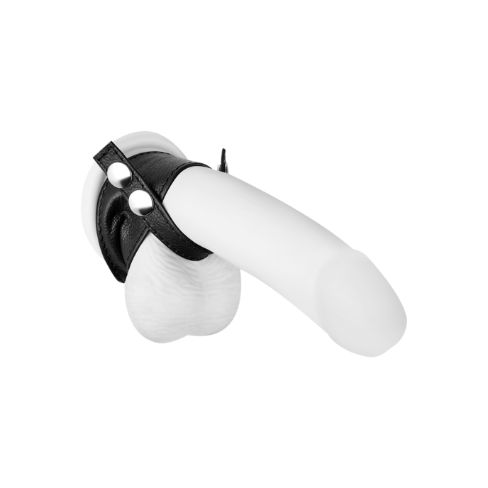 gaine-luxueuse-en-cuir-pour-pénis-Argent-Noir-2