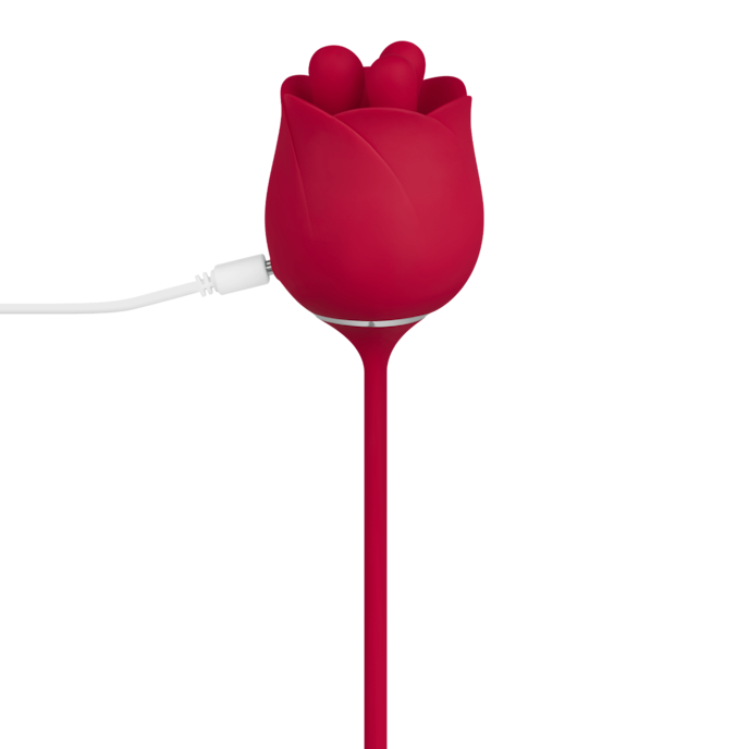 roosvormige-vibrator-met-bullet-38-5-cm-Rot-8