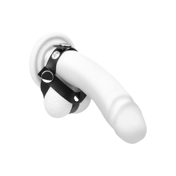 penis--en-teelbalmanchette-van-leer-Zwart-1