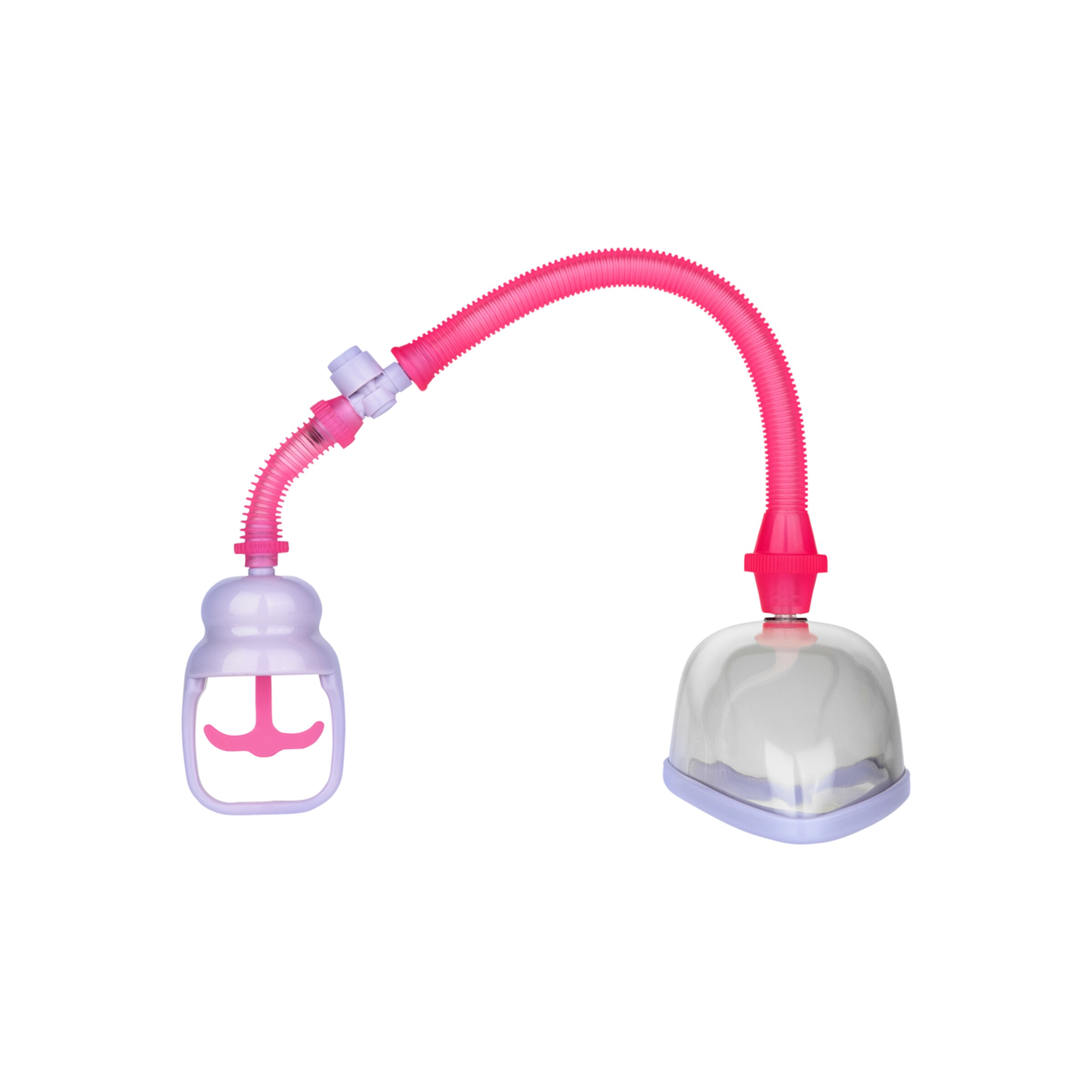 vagina-cup-Rose-Transparent-Violet-3