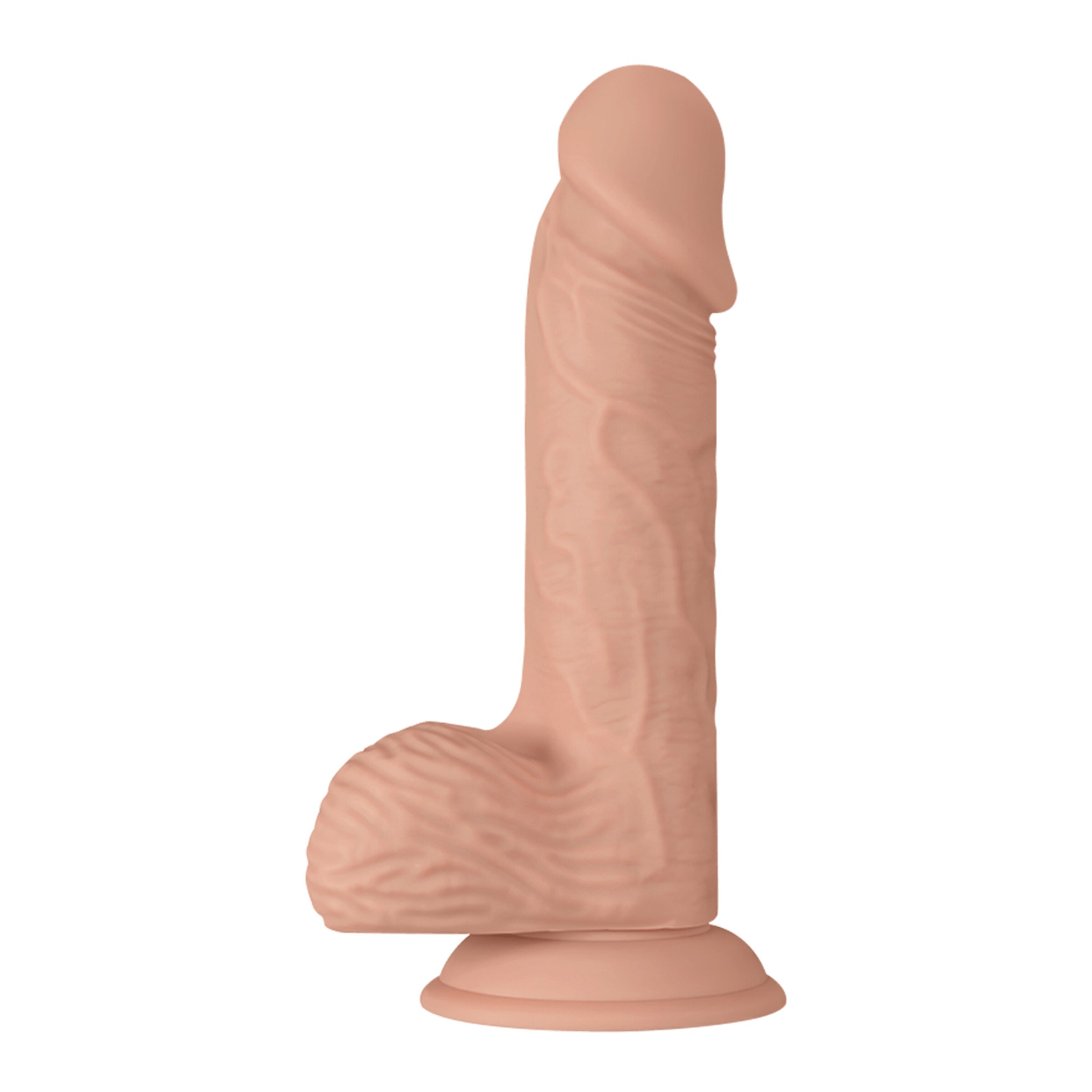 catoblepas-20-6-cm-Naturel clair-2