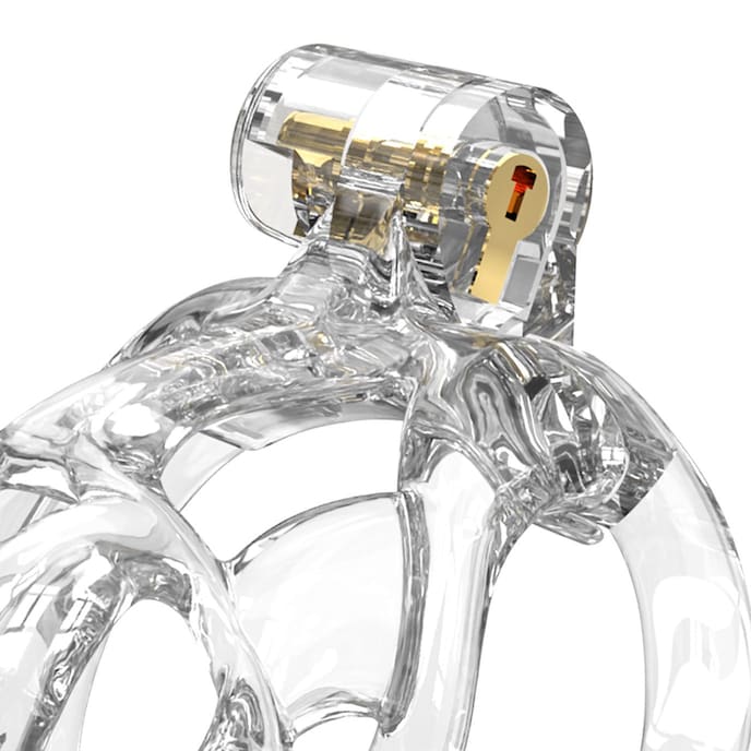 p-cage---pc11-größe-l-10-5-cm-Transparent-3