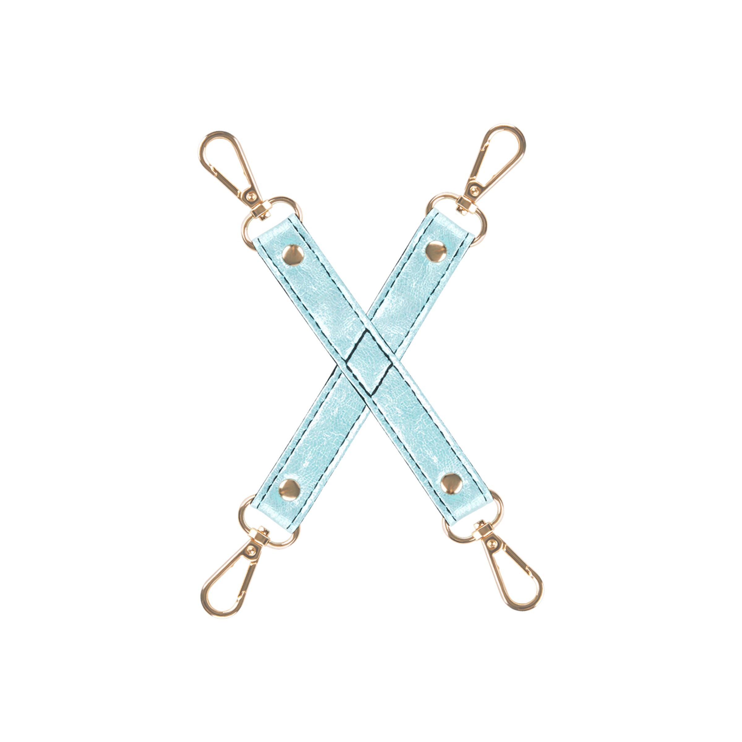 ensemble-captivant-de-bdsm[nbhy]-10-pièces-Bleu clair-Noir-Or-4