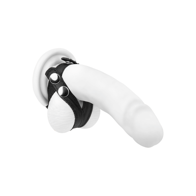 penis--en-teelbalmanchette-van-leer-Zwart-1