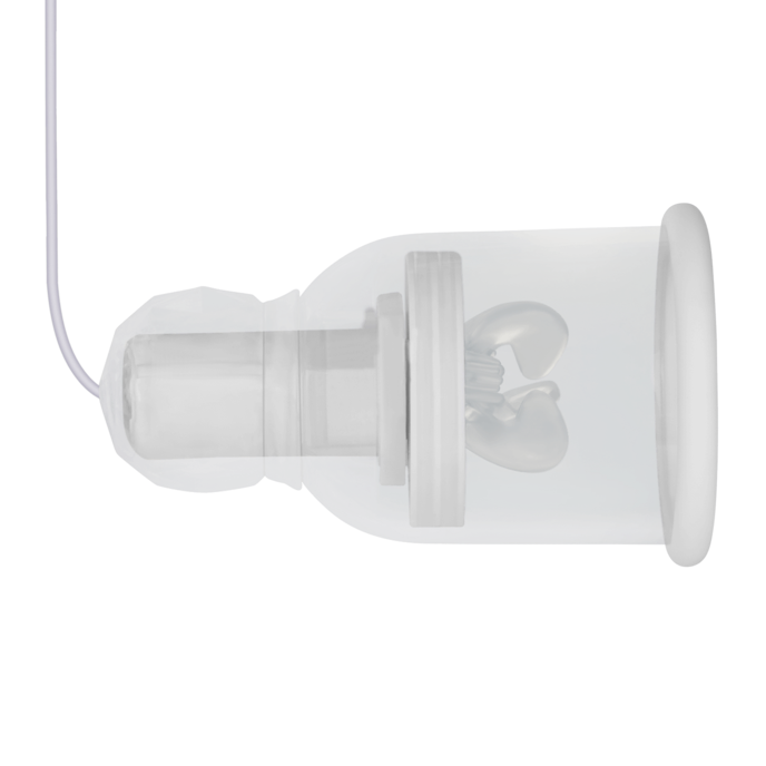 temptasia---titillator-Transparent-Weiß-9